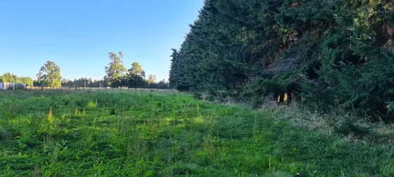 Parcela En Las Juntas Comuna De Frutillar