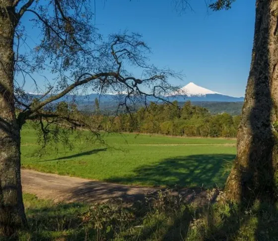 Diferentes Parcelas Entre Villarrica, Gorbea Y Loncoche