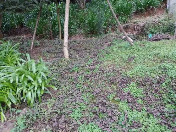 Terreno En La Candelaria: 280 M² A Precio De Oportunidad