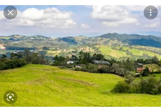 Lote En Venta En Envigado Sector Alto De Palmas