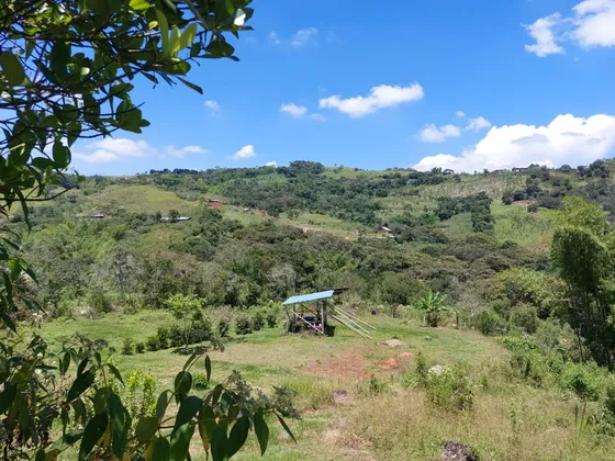 Vendo Finca Corregimiento Puente Palo - Municipio La Cumbre - Ganadería Y/o Agricultura