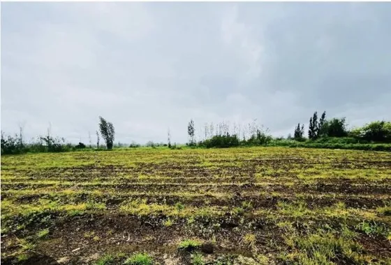 Sitio En Venta En Parral