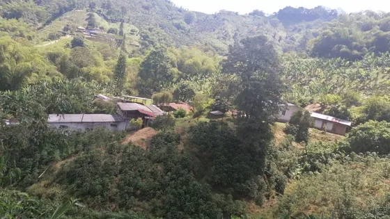 Vendo Finca Con Excelente Terreno Para Siembra