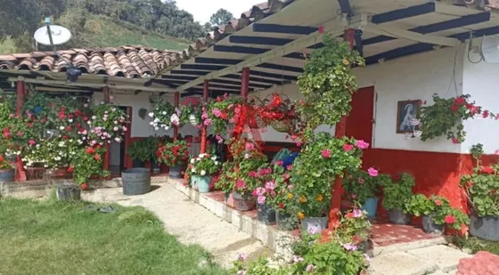 Hermosa Casa Finca Agrícola En Venta La Unión Antioquia - Oportunidad.