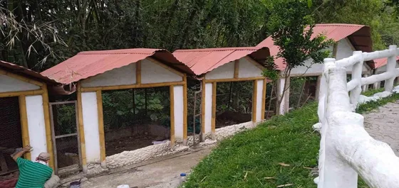 Finca En Venta /combia/vereda La Siria/pereira (279059500).