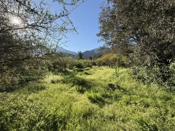 ¡gran Oportunidad! Parcela En Paine, 8000 M² Únicos