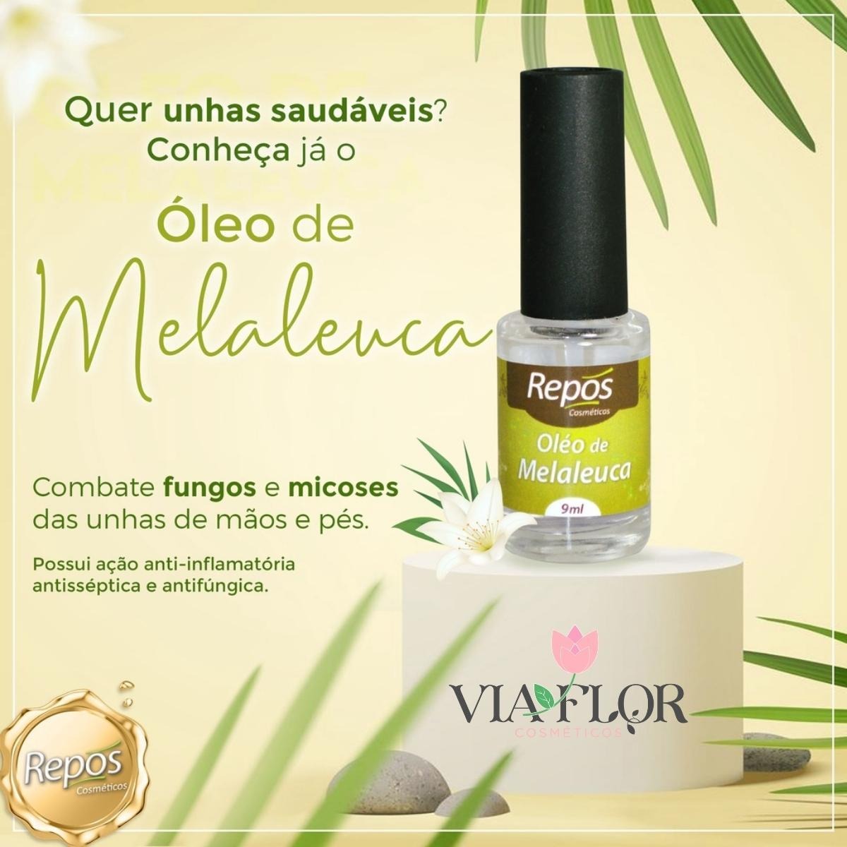 óleo De Melaleuca Para Micose De Unha Onde Comprar Emoliente Podologia + 5 Óleos De Melaleuca Para Fungos Repós | Frete grátis