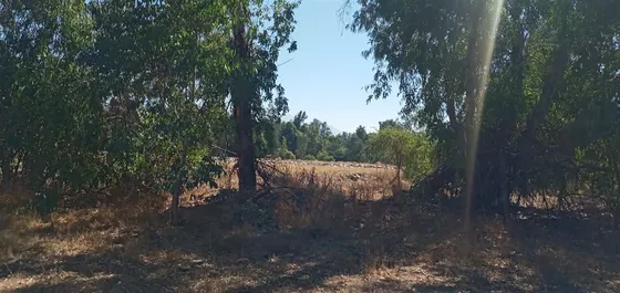 Parcela En Venta En Pirque N*26