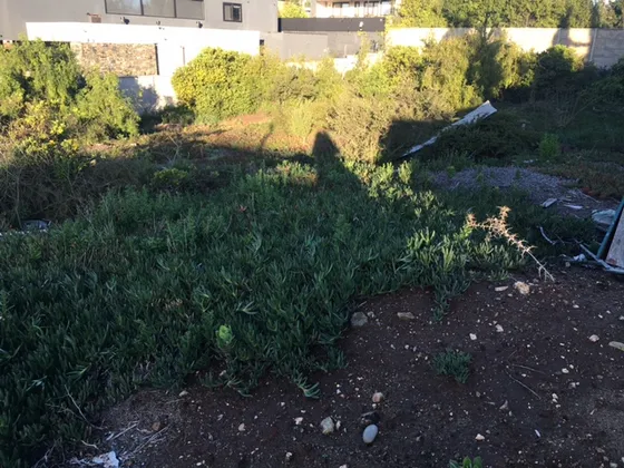 Sitio En Pinares De Montemar