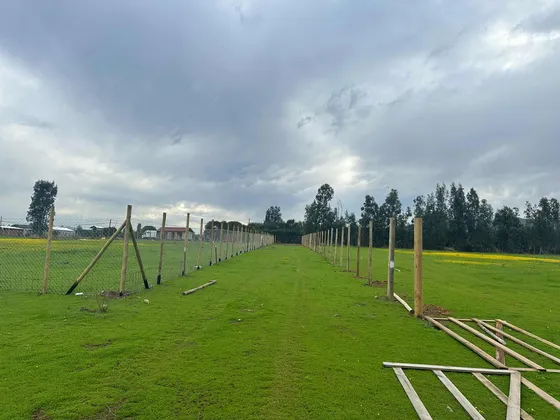 Terrenos 5.000mts2 Rol Propio Limache Sector Los Laureles