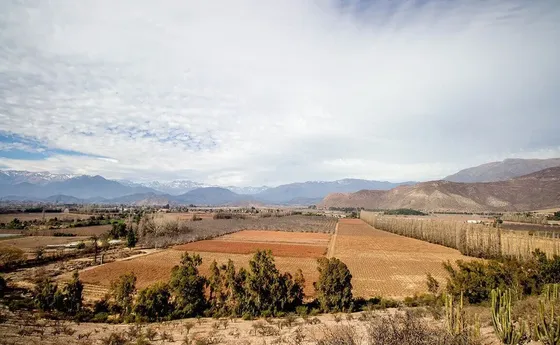 Parcela En Venta En Los Andes, Condominio Cerrado El Guindal