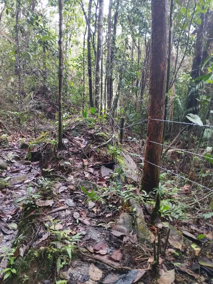Lote En Guarne