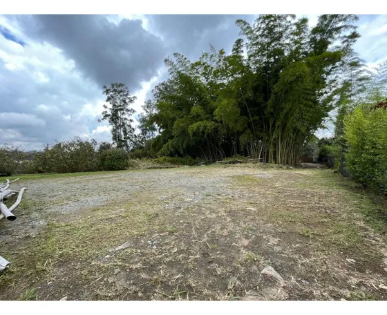 En Venta Lote Independiente Sector Gualanday - Llanogrande