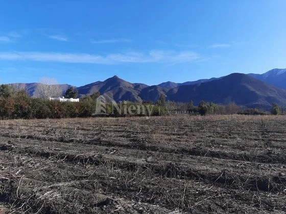 Terreno En Venta En Rinconada