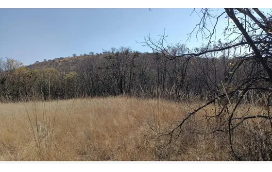 Terreno En Venta En Campestre Haras