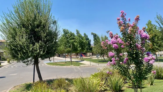 Comoda Casa En Condominio