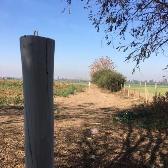 Terreno Ubicado En El Sector De Ohiggins, Ignacio Carrera P