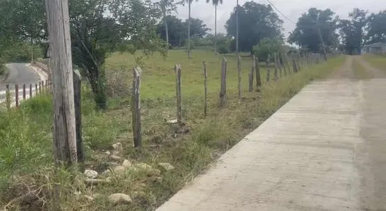 Título Deslindado