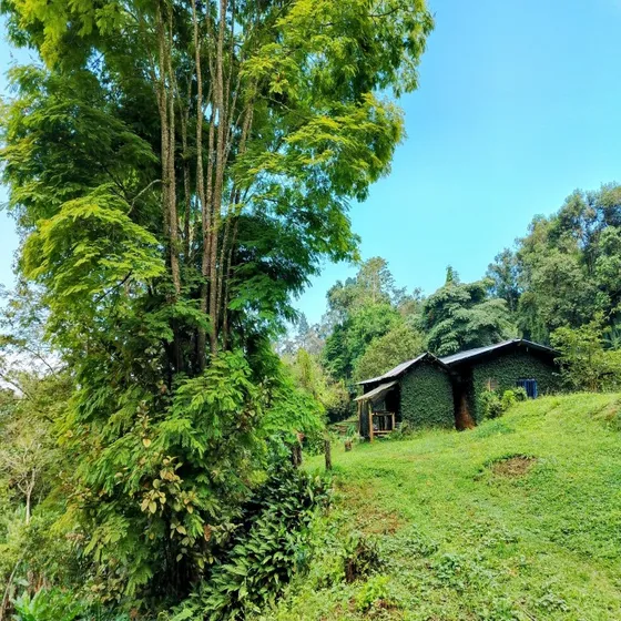 Oportunidad Unica: Finca De 18.000 M² En Km 29 Vía A Buenaventura, Ideal Para Recreo Y Cultivo
