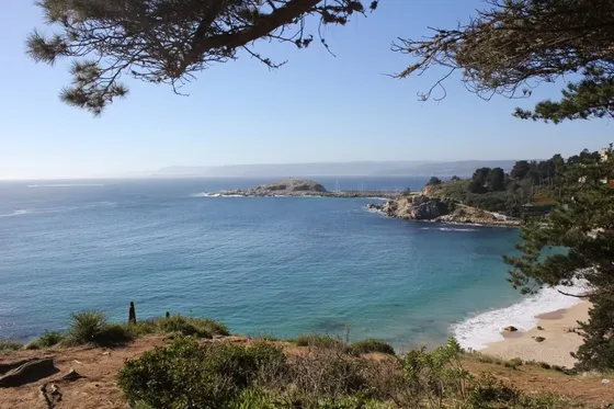 ¡¡oportunidad Rebajada!! Casa En Bosque Canelo Algarrobo