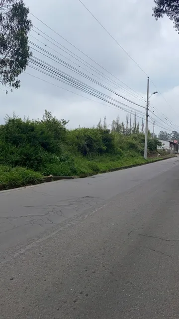 Terreno Plano7140m2, San Antonio (via Antigua Otavalo Ibarra) 