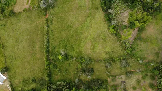 Lote De 5171.9 Y 3500 M2 $250 Y $180 Millones.
