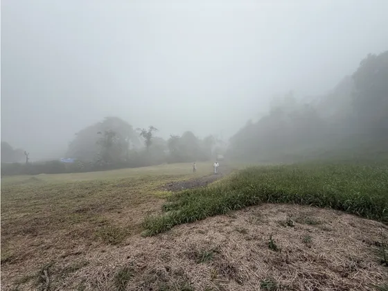 Se Vende Lote Condominio Cerrado Filandia Quindio