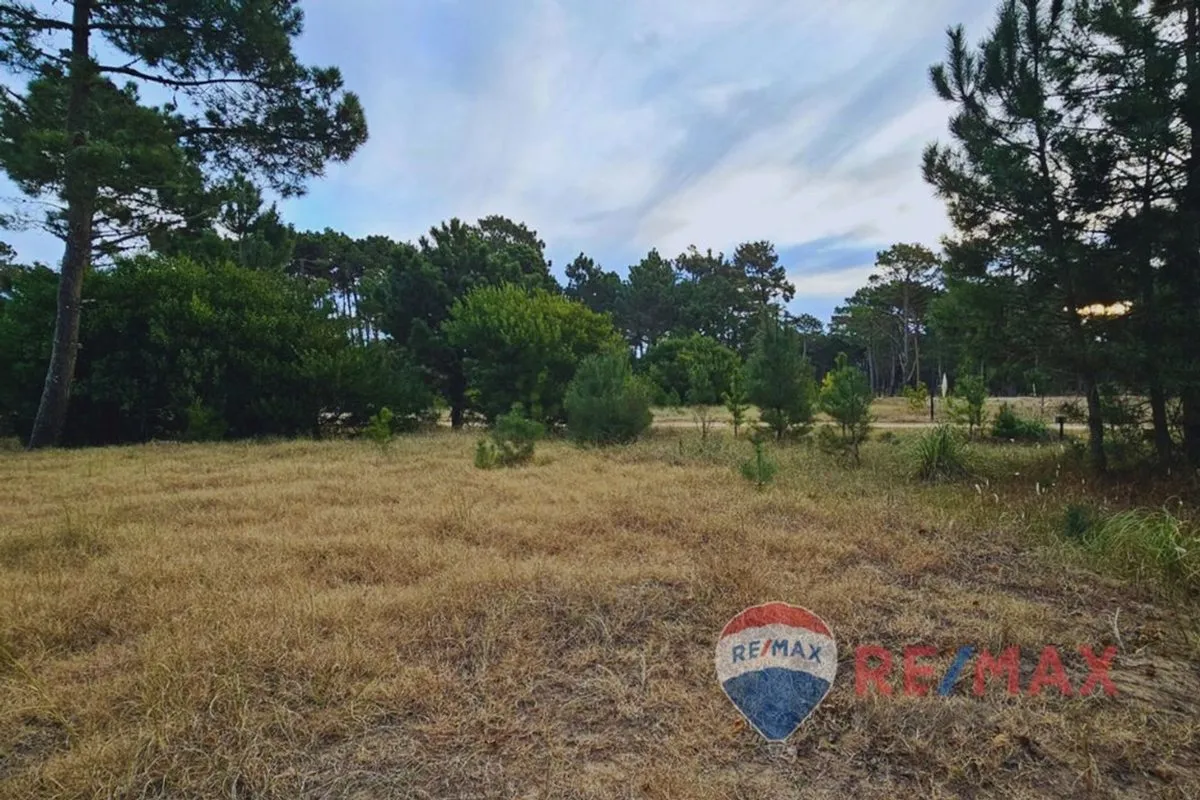 Lote Venta Pinamar Barrio Bosques Norte Privado