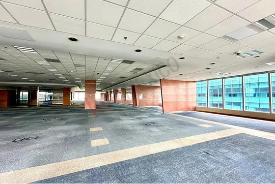 Magníficos Espacios Para Tu Negocio Desde 200 M2 Hasta 1600 M2 - Av. Santa Fe