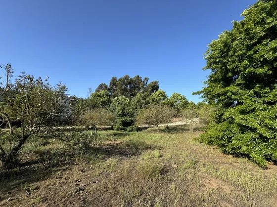 Sitio De 2500 En Condominio