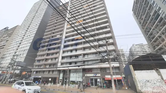 Estacion Central Av. Ecuador / Radal (313i)