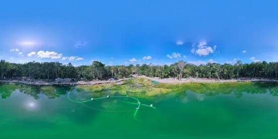 Desarrollo 528 Tulum,  Lotes Residenciales Dotado De Naturaleza En Tulum