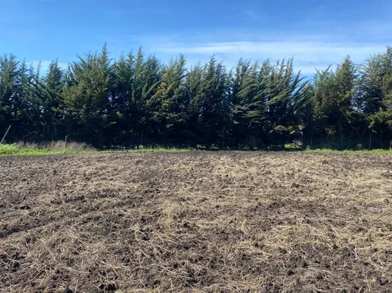 Casa En Parcela En Venta