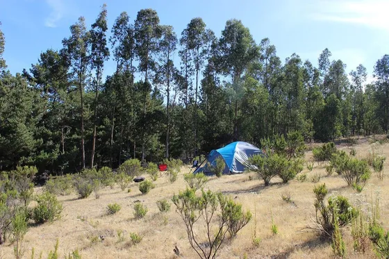 Terreno De Media Hectárea A 20 Minutos De Maitencillo
