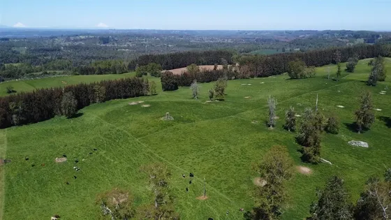 Parcela En Venta En Lago Ranco
