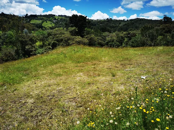 Venta Lote En El Alto De  Las Palmas 