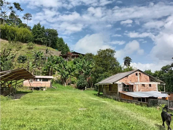 Finca En Venta En Alto Bonito Manizales | Venta De Finca Productiva