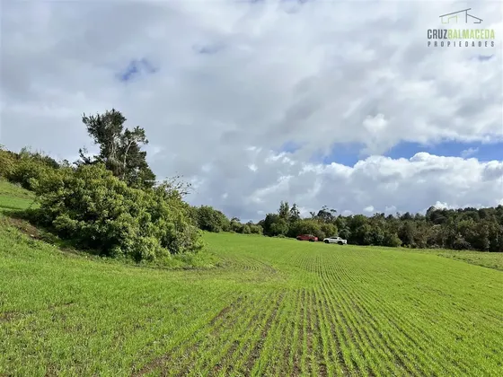 Agrícola En Venta Con Rio En El Mañio, Los Muermos