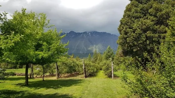 Chacra - Las Golondrinas