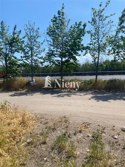 Sitio En Arriendo En Requínoa