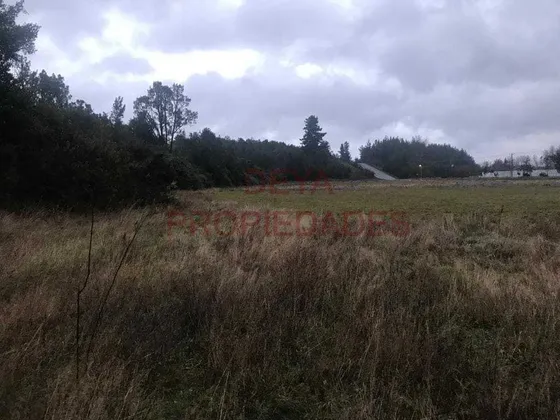 Parcela En Frutillar (87164)