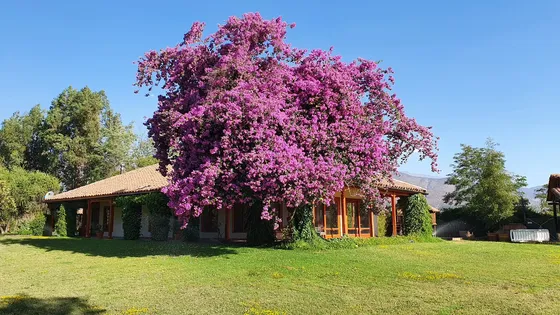 Bajó De Precio! Casa Chilena En 9.000 M2 En Paine