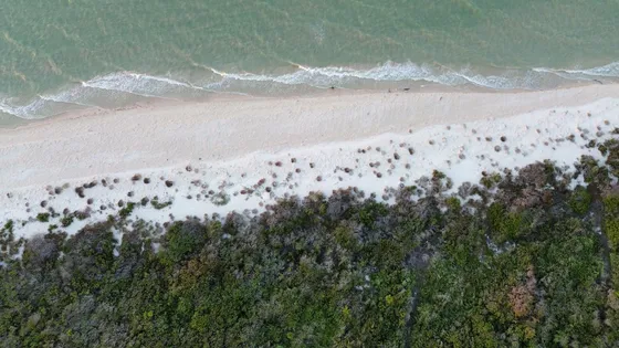 Terreno/lote En Venta Merida, Playa Sisal Hunucma, De Uso Mixto Frente Al Mar, Entrega Inmediata.