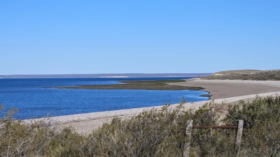 Oportunidad En Península De Valdés, Estancia Con Costa De Mar  