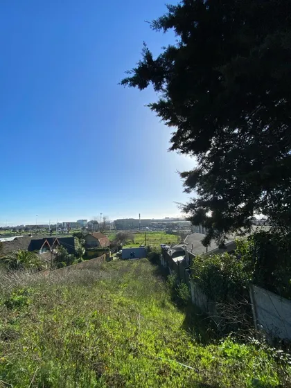 Se Vende Terreno En Lomas De San Andres Ideal Para Inversion