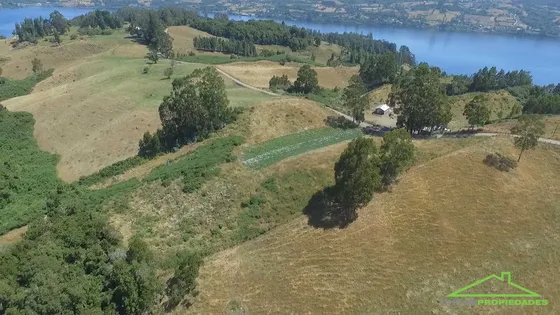 Peuque, Península De Rilán, Chiloé (70127)
