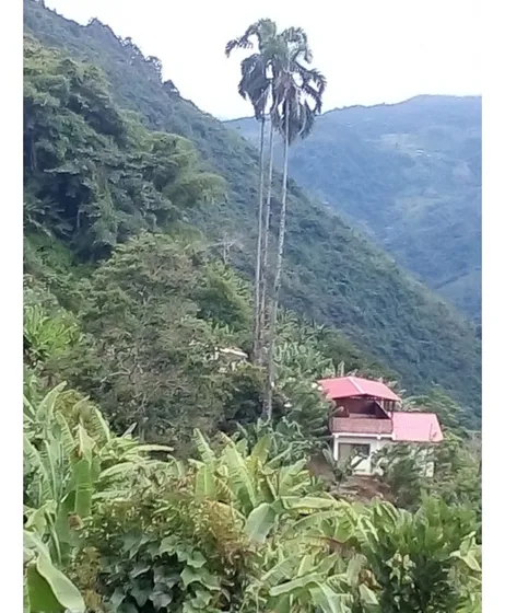 Se Vende Finca En Genova Quindío
