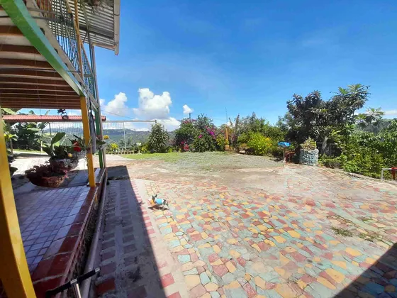 Finca En Venta En Vereda Alto Bonito/manizales (279057430).