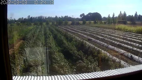 Parcela 5000mt2, Con Arándanos Y Casa