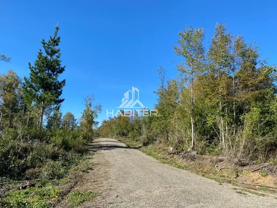 Sitio En Loteo Camino Volcan En Venta En Pucón
